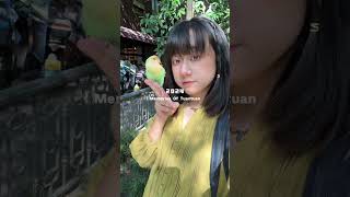 2024 is wonderful because of Tuantuan My 2024 travel annual summary Parrot Tik Tok cute pets Cut