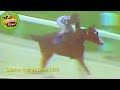 negresco ❤️ un caballo que parecía un toro clásico simón bolívar 1979 copa de oro 1980 y mas