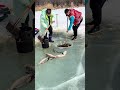 冬日垂釣，寒風刺骨 抓鱼 fishing 抓魚 有趣