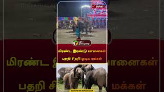 மிரண்ட இரண்டு யானைகள் பதறி சிதறி ஓடிய மக்கள் | திருச்சூர் | #elephant | #shorts