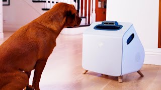 Automatic dog trainer seeks to create a better pet, faster