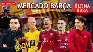 🚨 ULTIMA HORA FC BARCELONA 💣 FICHAJES Y SALIDAS BARÇA - ACUERDO HAALAND - GRIMALDO - NOTICIAS 🔥