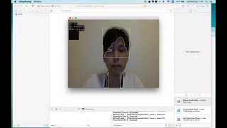 ofxCv example-contours-color TEST