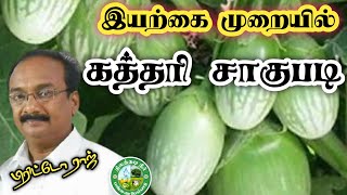 இயற்கை முறையில்  கத்தரி சாகுபடி - அட்டவணை தயாரித்தல்|| பிரிட்டோராஜ் 9944450552