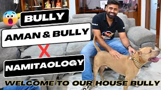 Welcome To Our Home @amanandbully : Pitbull Bully Aaya Humse Milne | Pitbull Meets Rottweilers