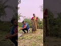 এখন ডিজিটাল যুগ অনলাইনে কত কিছু হয় polash_pondit_shovro funny comedy shorts youtube shorts