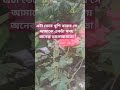 এটা ভেবে খুশি থাকব সে আমাকে একটা সময় অনেক ভালোবাসতো everyone youtube যোগ্য না