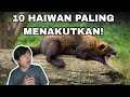 10 Haiwan Paling Menakutkan Di Dunia!