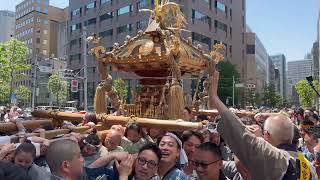 鉄砲洲稲荷神社例大祭『京橋五之部連合渡御』