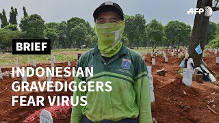 Indonesia's gravediggers battle virus fears | AFP