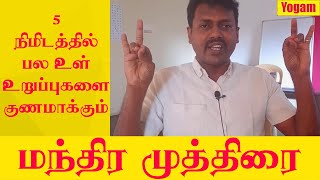 5 நிமிடத்தில் பல உறுப்புகளை குணப்படுத்தும் மந்திர முத்திரை / Yogam | யோகம்