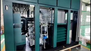 Dream Dry Oil- Free Permanent  Variable Speed Screw Air Compressor DMWV-185G(internal structure)