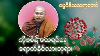 ကိုဗစ်နဲ့သေရင်ငရဲရောက်နိင်ပါသလားဘုရား