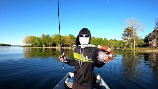 Fishing with the Megabass Vision 110 Jerkbait