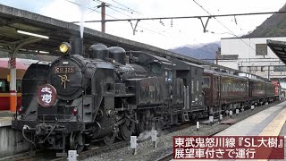 【ぶどう色】東武C11＋14系・12系『SL大樹』展望車付き 2021年11月