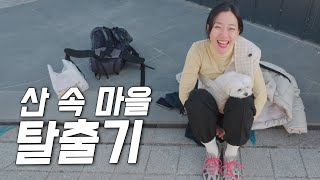 대도시vs시골 산촌에 사는 신혼부부의 특별한 하루 [청도4]