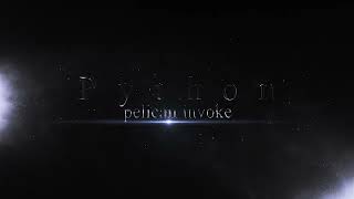 Python - Pelican invoke