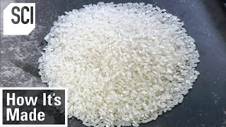 How It's Made: Rice