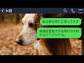 【line】内定濃厚だった銀行の最終面接で私が母子家庭だと知って速攻で落とした面接官「片親の貧乏人は不採用w」→クズ面接官が私の母の正体を知った時の反応がwww