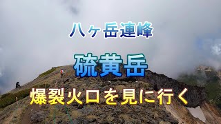 【八ヶ岳連峰】桜平駐車場から6月の硫黄岳に爆裂火口を見に登りました。夏沢鉱泉、オーレン小屋を経由しての山行です。カモシカに会えたのは、幸運でした。