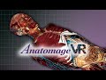 Anatomage VR: Real Anatomy In Virtual Reality