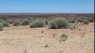 namibia africa a landscape with sparse vegetation