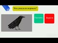 Тест Только не говори что увидел ворона Твой настоящий характер за 1 минуту