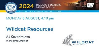 2024 | Wildcat Resources | AJ Saverimutto | Diggers \u0026 Dealers