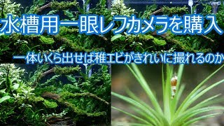 【4K対応】水槽撮影用のカメラを購入【GF9】