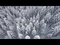 drohnenflug über winterwald im allgäu – mavic air 2 final cut pro 2k footage