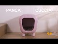 United Pets - Pancuccia (Cat version)