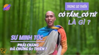 Sau Ngài Minh Tuệ_Sư Minh Túc Là Một Viên Ngọc Sáng, Có Phải Chăng Sư Đã Chứng Được Sơ Thiền ?