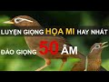 35 phút mỗi ngày luyện giọng Họa Mi hót hay nhất