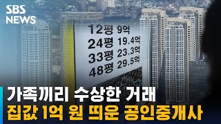 가족끼리 수상한 거래…집값 1억 원 띄운 공인중개사 / SBS