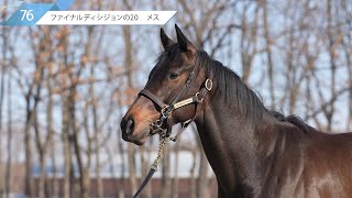 76.ファイナルディシジョンの20【2021年度第1回追加募集馬】