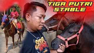 BERMAIN DIKANDANG KUDA TIGA PUTRI STABLE | WOTAN