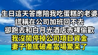 生日這天答應陪我吃蛋糕的老婆，謊稱在公司加班回不去，卻跑去和白月光酒店赤裸偷歡，我沒鬧停掉公司項目資金，妻子徹底破產當場驚呆了【清風與你】#激情故事#大彬情感#夢雅故事#一口氣看完#小說