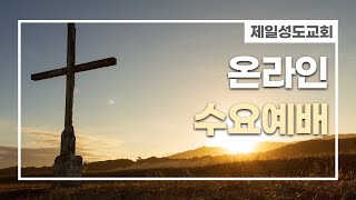 수요 예배  생방송(2022년 11월 02일)