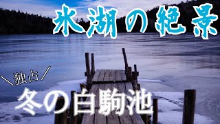 登山初心者！北八ヶ岳・白駒池（山歩き2日目）