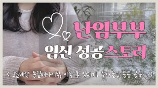 시험관 1차 성공 후기 2탄! 3일배양 동결 배아이식, 프롤루텍스 안아프게 맞는법, 이식 후 임테기, 피검사 수치, 난임병원 졸업