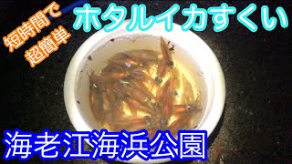 富山湾でホタルイカ掬い~Day 1~ Scooping firefly squid in Toyama Bay, Toyama, Japan I