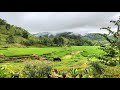 Relaxing Views in Sitio Caldos Brgy Little Baguio Malita Davao Occidental