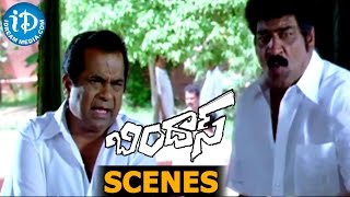 Bindaas Movie Scenes || Brahmanadam, Raghu Babu, Manoj Comedy Scene