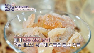 연골세포의 생존에 도움을 주는 보스웰리아 인생토크쇼 터닝포인트(turningpoint) 43회 | JTBC 201211 방송