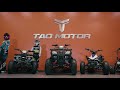 the all new tao motor bull 200