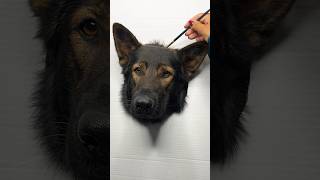 How to paint a realistic dog