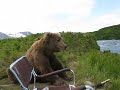 bear sits next to guy