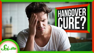 How To Cure A Hangover Maybe