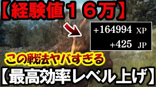 【ドラゴンズドグマ2】マジックアーチャー一瞬で『経験値１６万』裏世界のヤバすぎるレベル上げが効率良すぎてワロタｗ