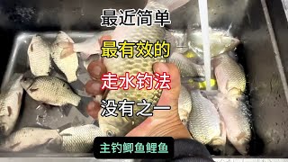 走水钓法